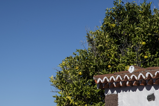 Ruta arquitectura tradicional canaria y etnografía. La Palma. 19-11-2023_10