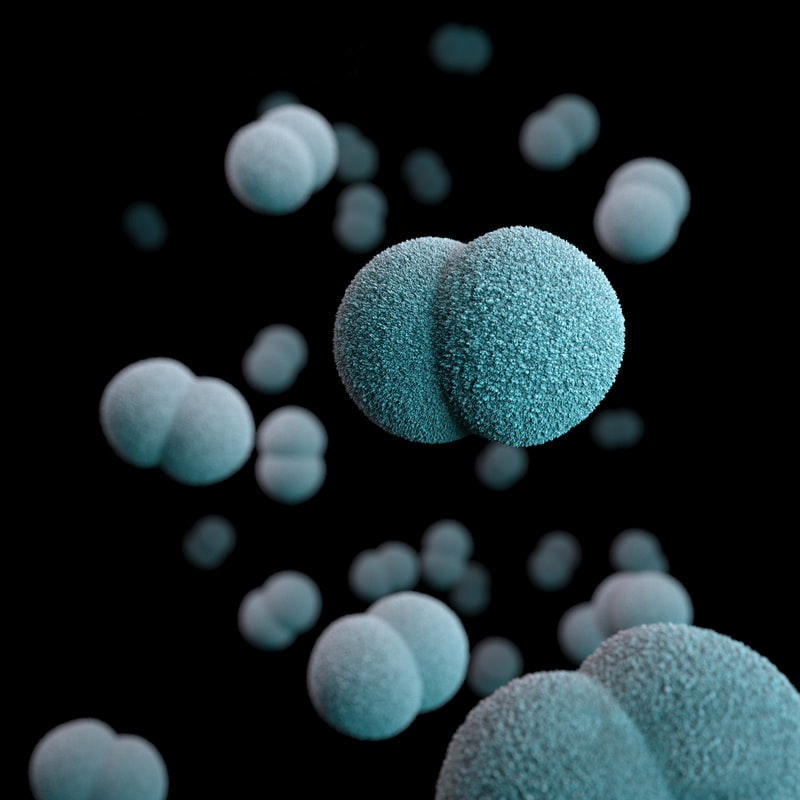 Bacterias panresistentes. Fuente: Unsplash