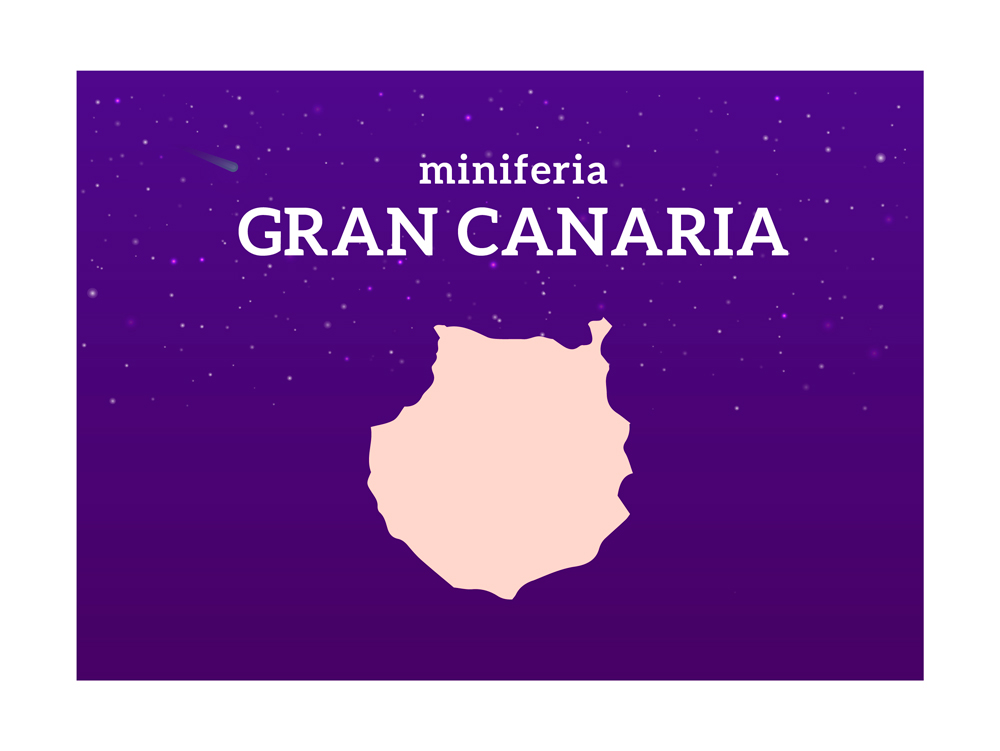 Miniferia Gran Canaria