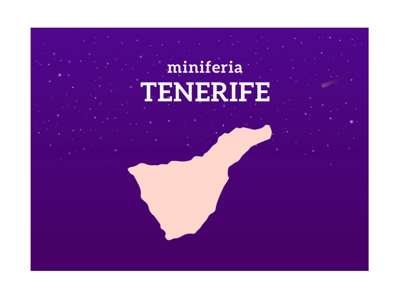 Miniferia Tenerife