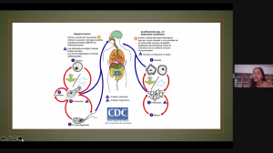 Amebas patógenas: del medioambiente a tu organismo. 10-05-22_2