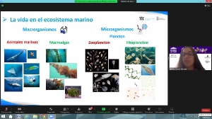 Biotecnología azul y acuicultura vegetal marina: un futuro sostenible_1