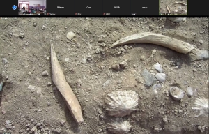 Espinas cuentan historias. Online. 5-04-22_13