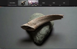 Espinas cuentan historias. Online. 5-04-22_14