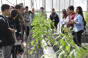 Días 20 y 21/12/2018. Centros educativos. Tenerife._1