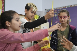 Día 20/12/2018. Centros educativos. La Palma._12