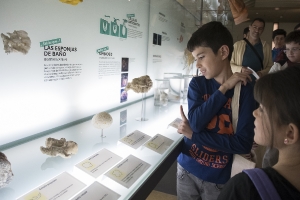 Día 22/12/2018. Museo de la Naturaleza y Arquelogía (MUNA). Tenerife._3