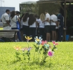 Miniferia I+D+i, Gran Canaria_3