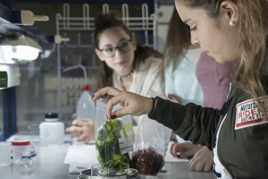 Prácticas en la Facultad de Ciencias del Mar_15