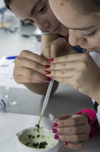 Prácticas en la Facultad de Ciencias del Mar_2