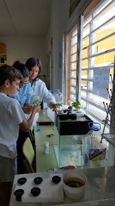 Prácticas en los centros de secundaria. OEB