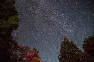 Taller Iniciación a la astrofotografía_13