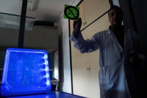 Taller Jugando con electricidad y luz_4