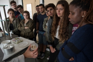 Taller La ciencia del masterchef_5