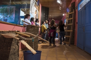 Guarapeo, cultura de la palma e innovación 18/11/2016_11