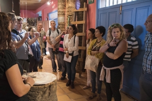 Guarapeo, cultura de la palma e innovación 18/11/2016_12