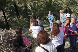 Guarapeo, cultura de la palma e innovación 18/11/2016_42