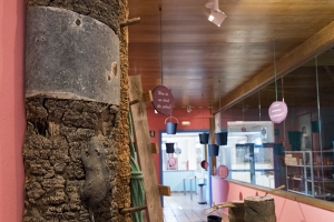 Guarapeo, cultura de la palma e innovación 18/11/2016_6