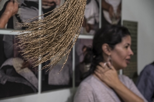 Guarapeo, cultura de la palma e innovación 18/11/2016_8