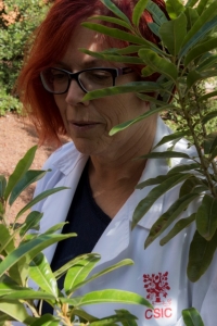 Itinerario-concuso Encuentra tus plantas canarias_11