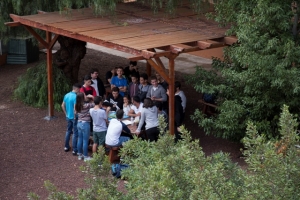 Itinerario-concuso Encuentra tus plantas canarias_2