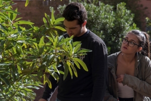 Itinerario-concuso Encuentra tus plantas canarias_4