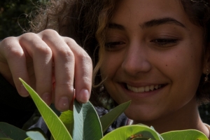 Itinerario-concuso Encuentra tus plantas canarias_7