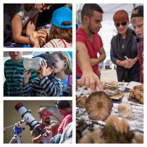 Ferias, encuentros y excursiones