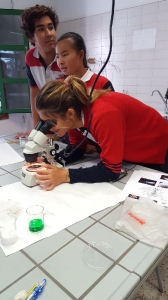 Practicas Biología. Colegio Arenas Costa Teguise. 09/11/17_12