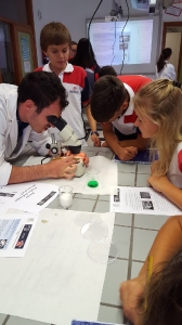 Practicas Biología. Colegio Arenas Costa Teguise. 09/11/17_13