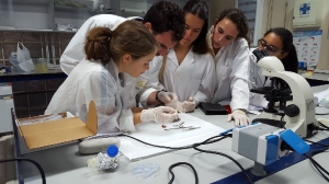 Practicas de Biología en la Facultad de Ciencias del Mar