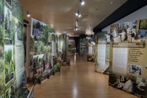 Exposición Paseando al Jardín. Museo Eder. 7-11-2017_2