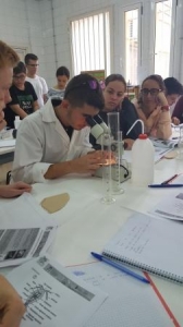 Prácticas laboratorio. IES Tablero Aguañac I. Gran Canaria. 6-11-2018_1