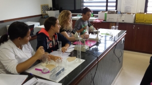 Prácticas laboratorios. IES Vigán. Fuerteventura 7-11-2018_3