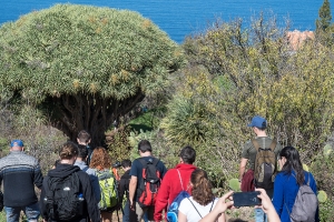 Día 10-11-2018. Garafía. La Palma_15