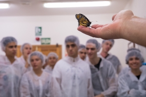 Visita animalario ULL. Tenerife. 12/11/2018_1