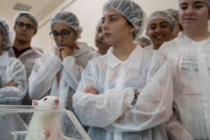 Visita animalario ULL. Tenerife. 12/11/2018_7