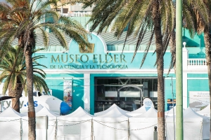Miniferia Gran Canaria. 13-11-2019_3