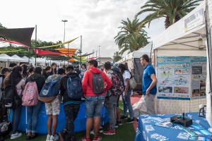 Miniferia Gran Canaria. 13-11-2019_77