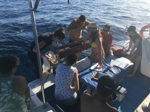 Proyecto Farfalle – Investigar en Oceanografía en las Islas Canarias; Gran Canaria_5