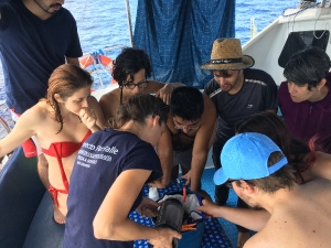 Proyecto Farfalle – Investigar en Oceanografía en las Islas Canarias. Tenerife, 9 y 10-11/2019 _1