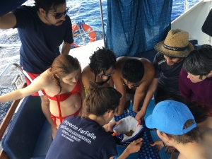 Proyecto Farfalle – Investigar en Oceanografía en las Islas Canarias. Tenerife, 9 y 10-11/2019 _3