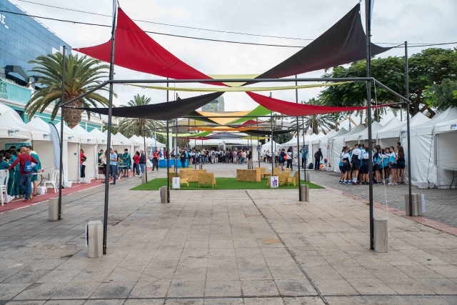 Miniferia Gran Canaria. 13-11-2019_34