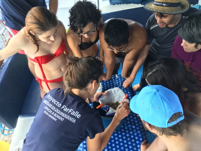 Proyecto Farfalle – Investigar en Oceanografía en las Islas Canarias. Tenerife, 9 y 10-11/2019 _2