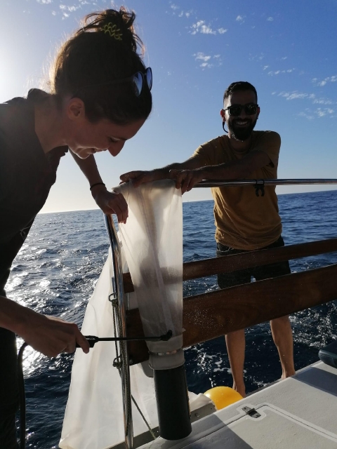 Proyecto Farfalle – Investigar en Oceanografía en las Islas Canarias; Gran Canaria_1