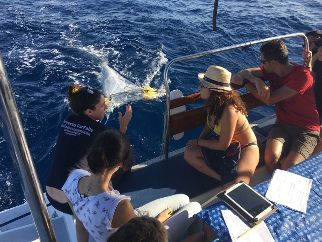 Proyecto Farfalle – Investigar en Oceanografía en las Islas Canarias; Gran Canaria_4
