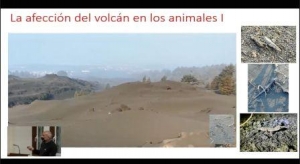 Erupciones volcánicas y biodiversidad: La Palma, un caso en estudio. IPNA-CSiC. Tenerife 9-11-2021_2