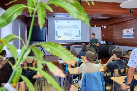 ¿Plantas de mango con el doble de ADN?: Posible aplicación en fruticultura. Tenerife. 14-11-22_14