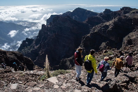 Jornadas Biosfera, Ciencia y Naturaleza: ruta científica Roque de los Muchachos. La Palma. 20-11-22_21