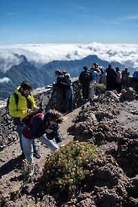 Jornadas Biosfera, Ciencia y Naturaleza: ruta científica Roque de los Muchachos. La Palma. 20-11-22_22